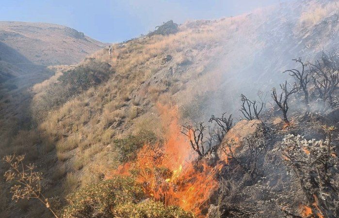 نیاز فوری به هواپیمای آب‌پاش برای مهار آتش در جنگل‌های ماهور میلاتی